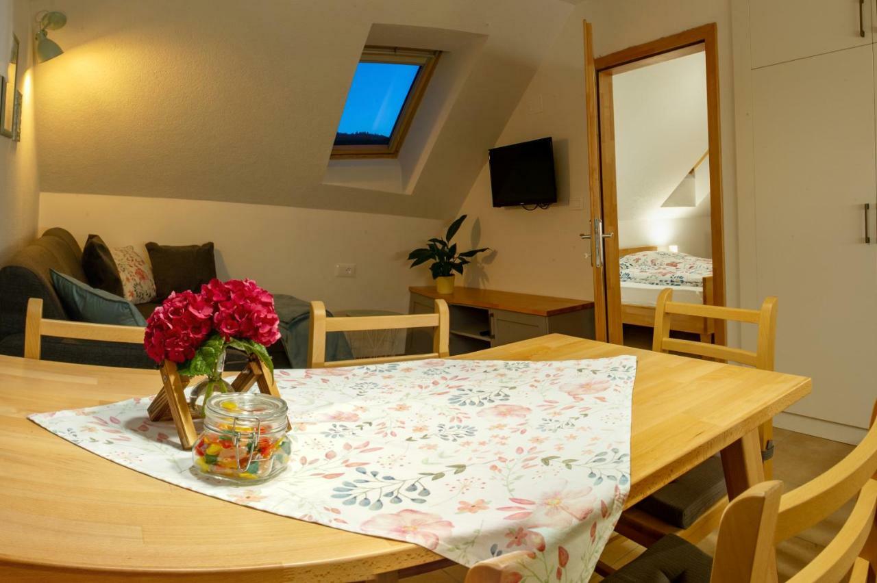 Apartments Laznica Cerkno Zewnętrze zdjęcie